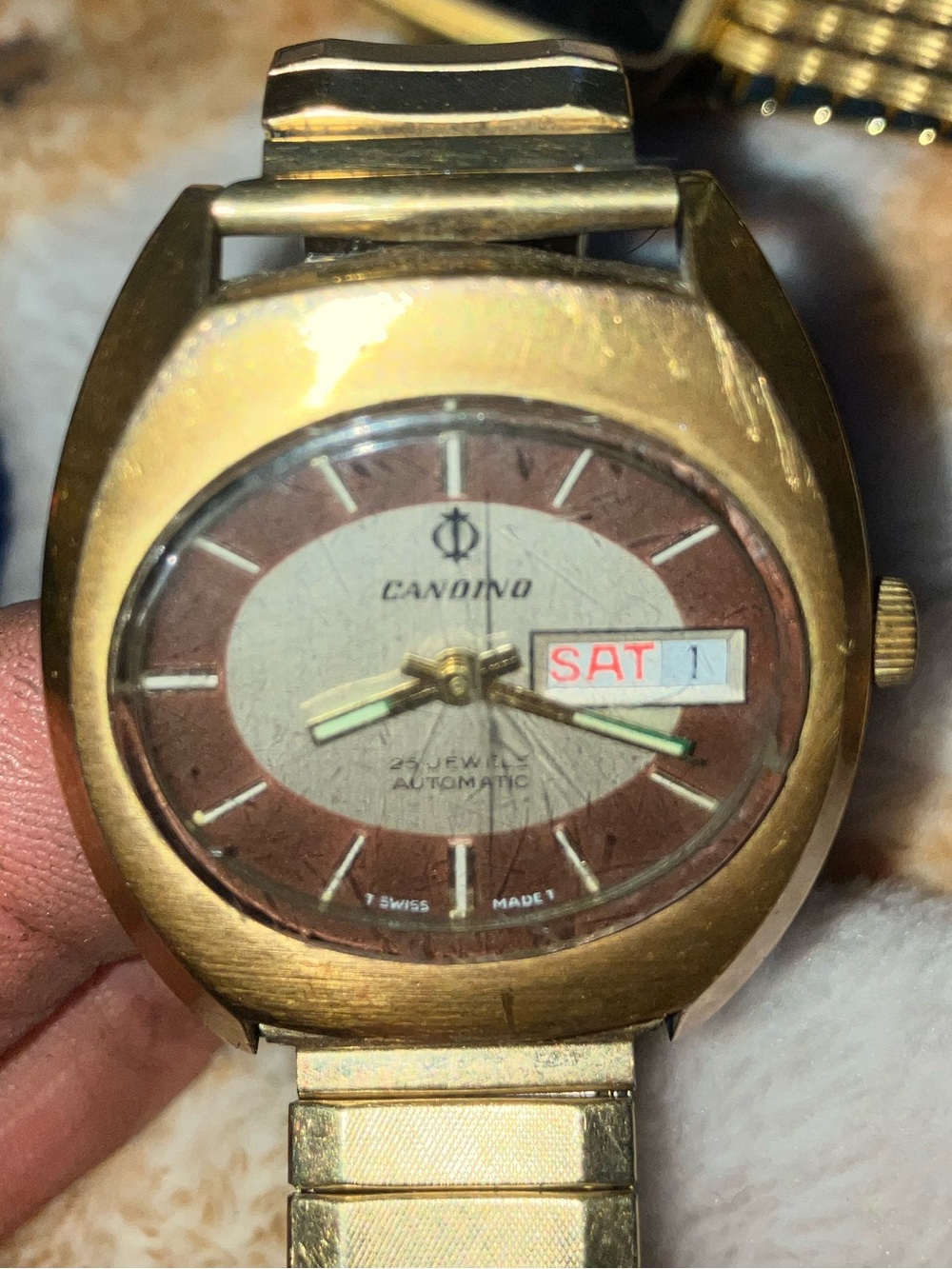 Canon Gold Tone Automatic Smartwatch-Style Watch with Brown Dial